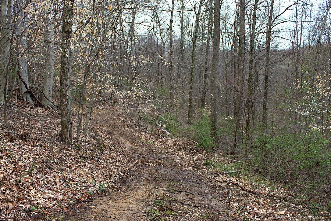 Little Buckhorn Road, Newcomerstown, Ohio image 5