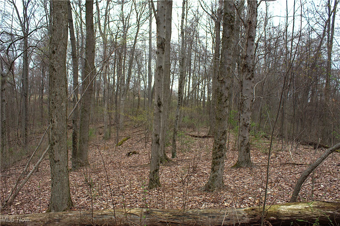 Little Buckhorn Road, Newcomerstown, Ohio image 12