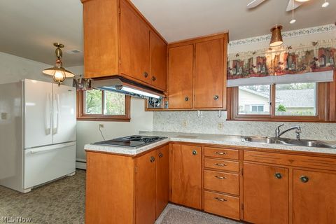 Tiny photo for 7003 Parmelee Drive, Mentor, OH 44060 (MLS # 5202318)