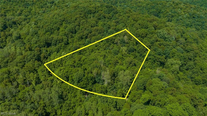 Whether looking for the perfect hunting destination or building your forever home, this is the place for you. This property offers more than 9.79 acres featuring a healthy forest with a variety of trees including hickory, white oak, black oak, beech, and red maple. This peaceful and tranquil setting is waiting for you!