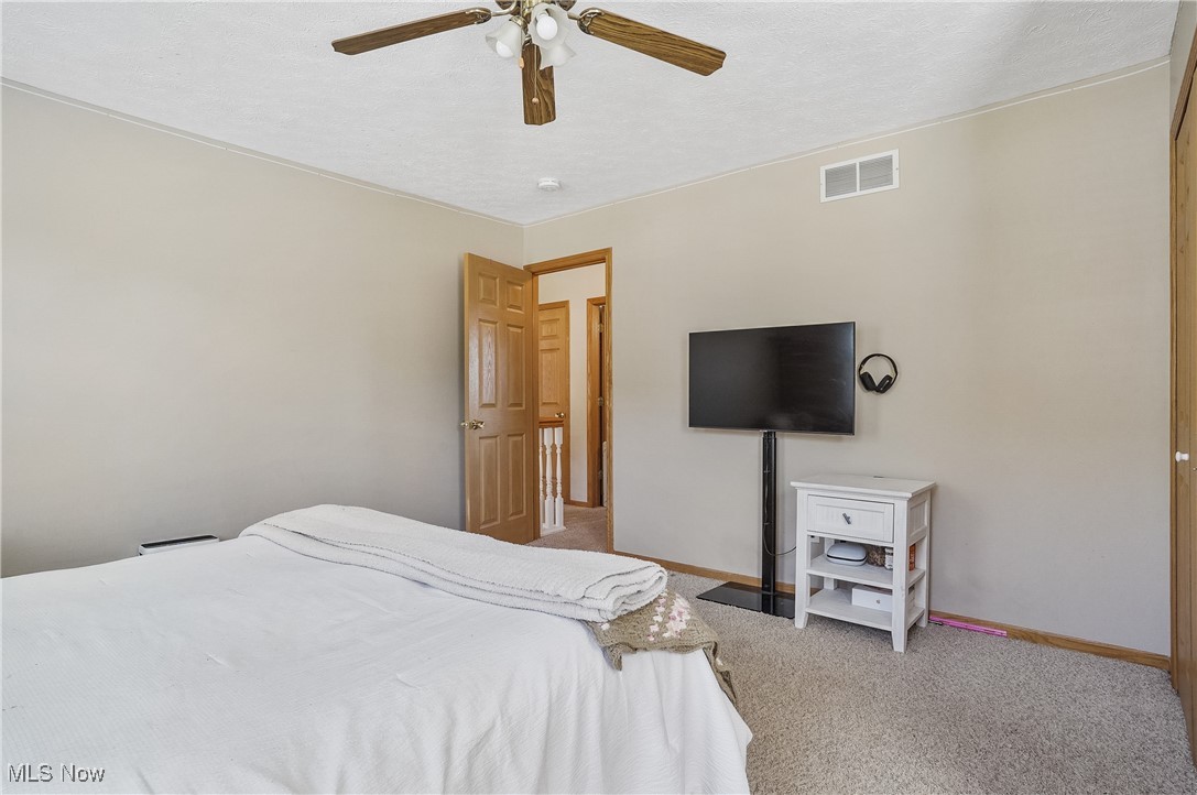 6991 White Pine Drive, Ravenna, Ohio image 33