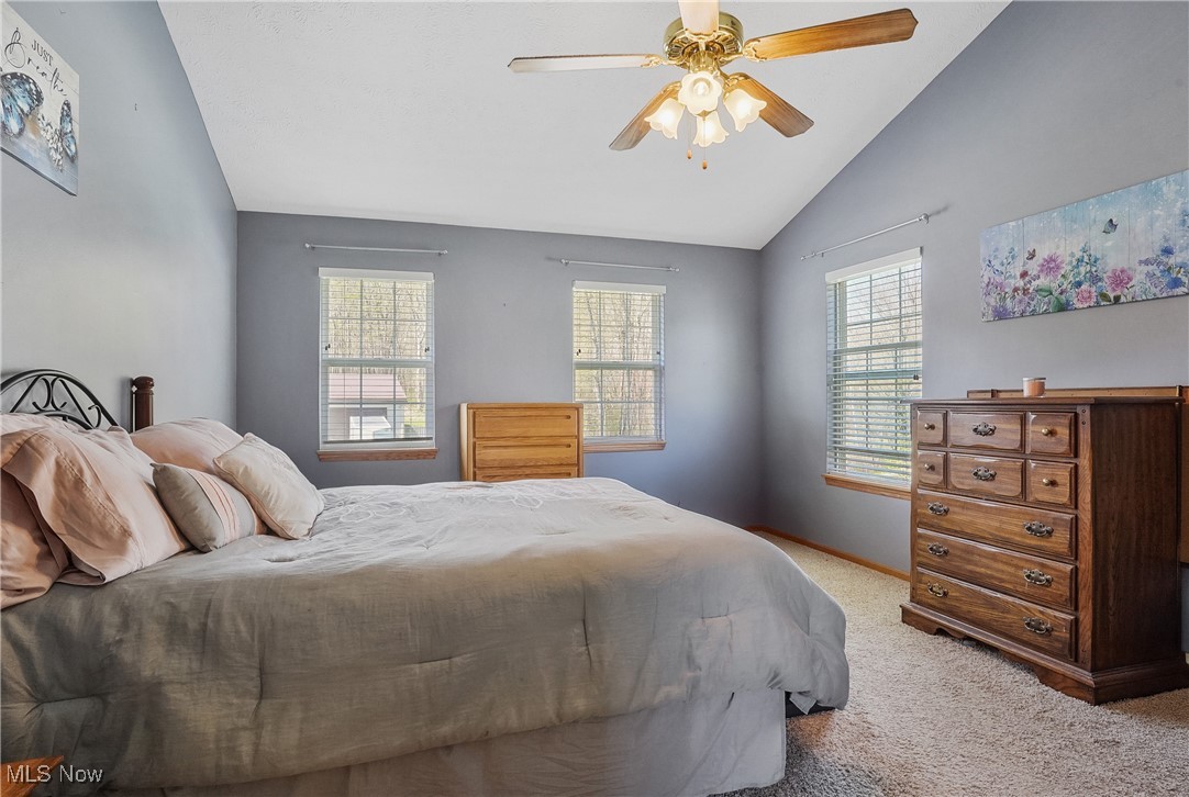 6991 White Pine Drive, Ravenna, Ohio image 28