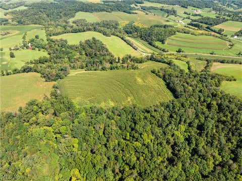 Vacant Land For Sale - 6470 Troendly Road<br/> Stone Creek, OH 43840
