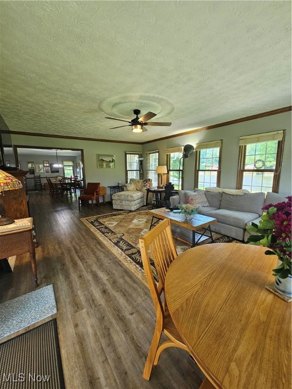 Dale F Smithville SD - Residential