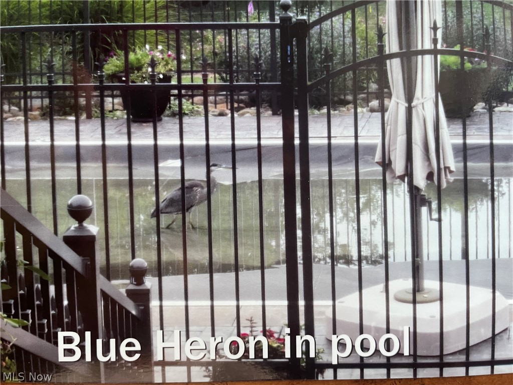 Ravenna - Residential