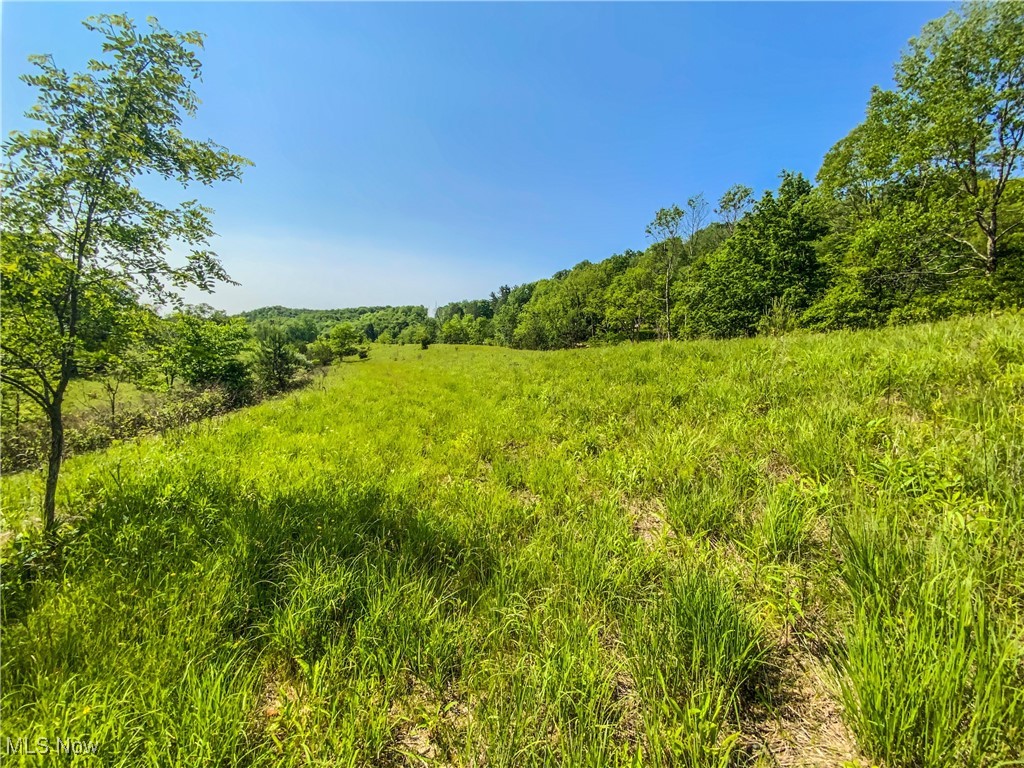 Township Rd 472, Amsterdam, Ohio image 8