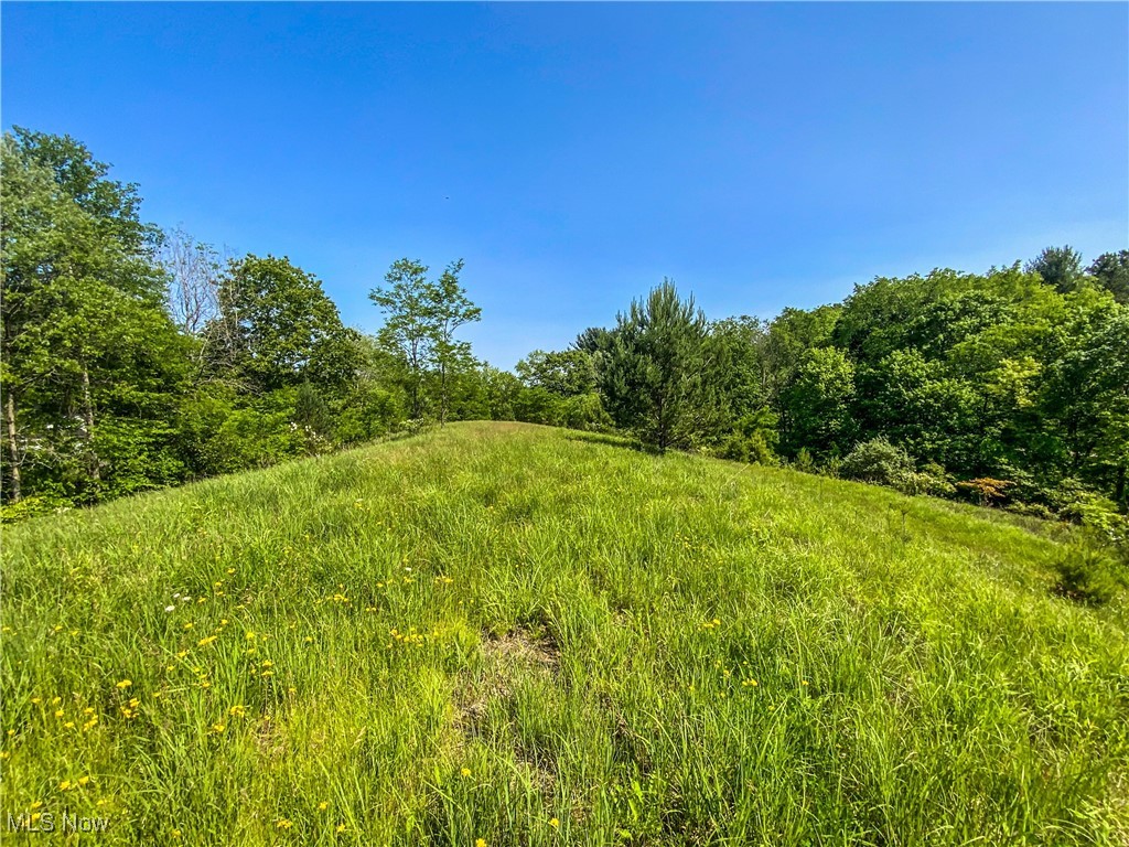 Township Rd 472, Amsterdam, Ohio image 7