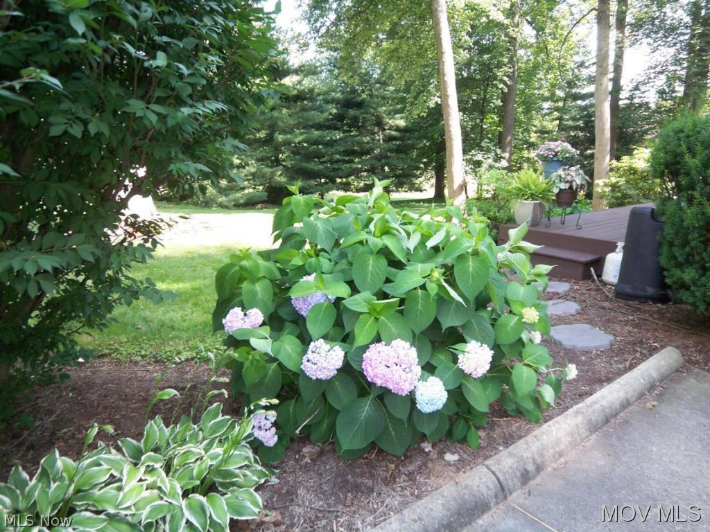 Greenmont Hills - Residential