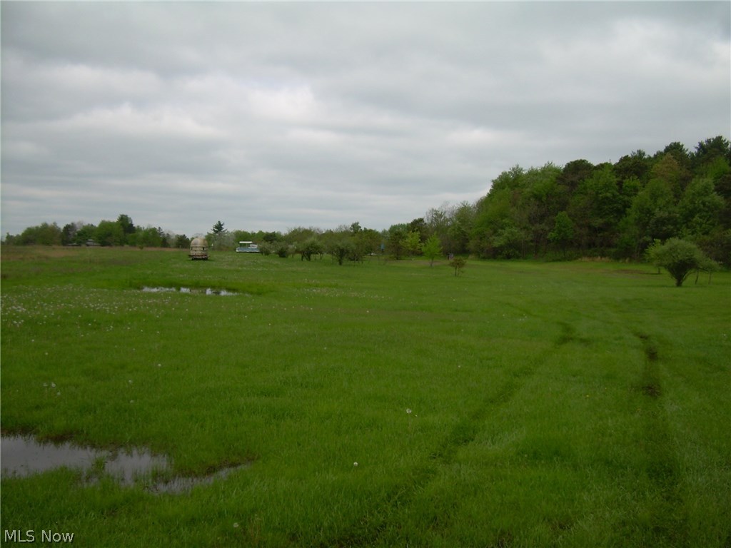 14.55 acres of versatile land. Use for residential, commercial or industrial. All mineral rights owned by the seller will transfer. 800 ft. of frontage that is marked by 2 blue stakes.