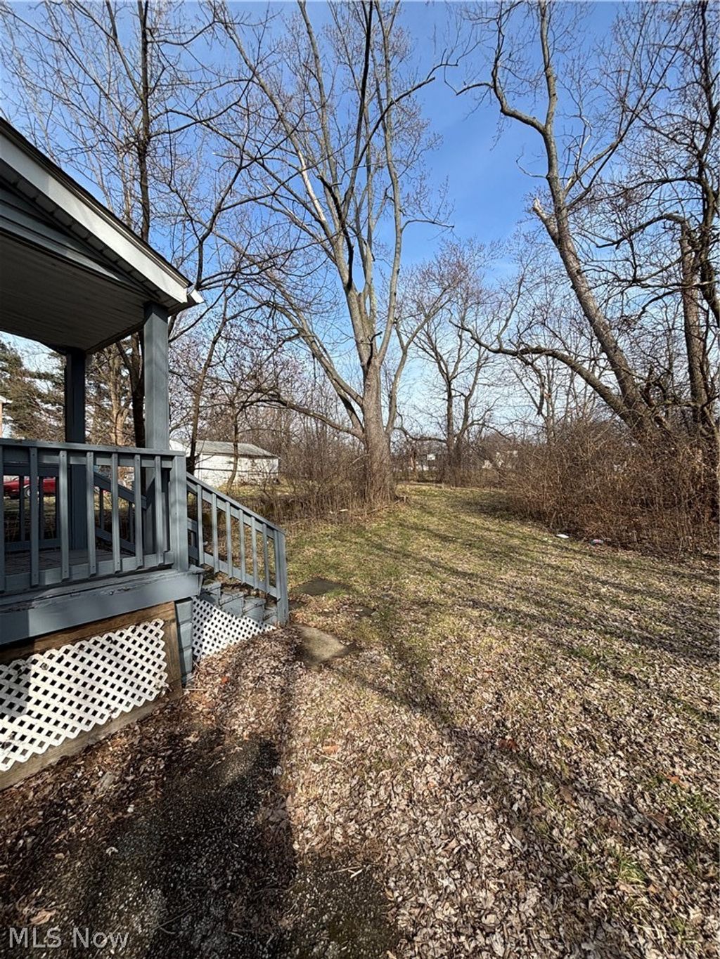 Photo of 3919 E 99th Street, Cleveland, OH 44105 (MLS # 5185803)