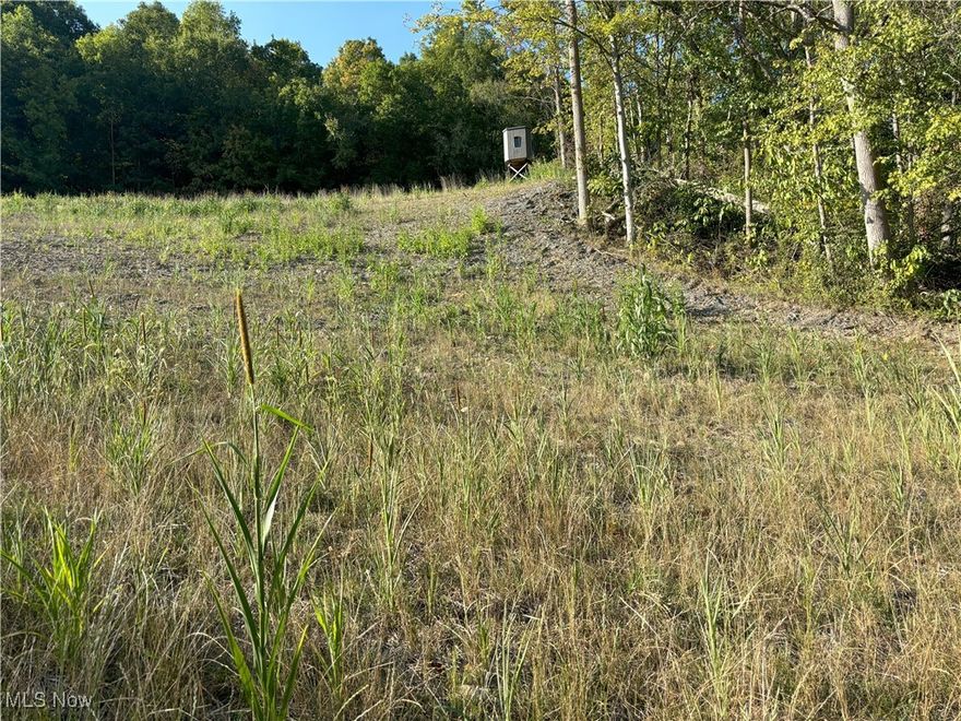 73+ Acres of Prime Hunting Land with Investment Potential! Looking for a great property with abundant wildlife and a smart investment opportunity? Look no further! Located just north of I-70, this incredible 73+ acre property offers deer and turkeys abound, making it a hunter’s paradise with 3 brand new hunting blinds and a well-maintained food plot. Stroll through the property and discover a lot of high-quality walnut trees ready for harvest, along with pockets of poplar, red, and white oaks. With ample road frontage, you have the potential to split the property into two prime hunting spots. Enjoy the large stream that flows through the property, perfect for fishing or trapping. Timber value, fantastic hunting, and prime road frontage—this property has it all! Don’t miss out on this amazing opportunity. Call now to schedule your showing! Your dream hunting and investment property awaits!