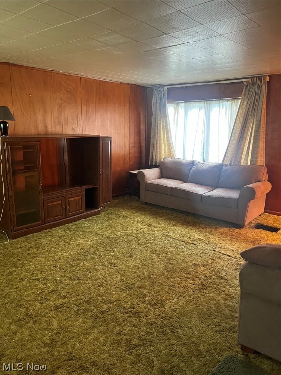 Painesville On The Lake - Residential