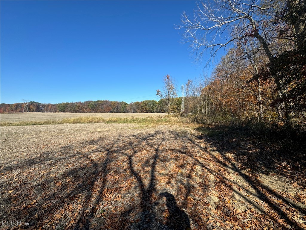 Spieth Road, Medina, Ohio image 8