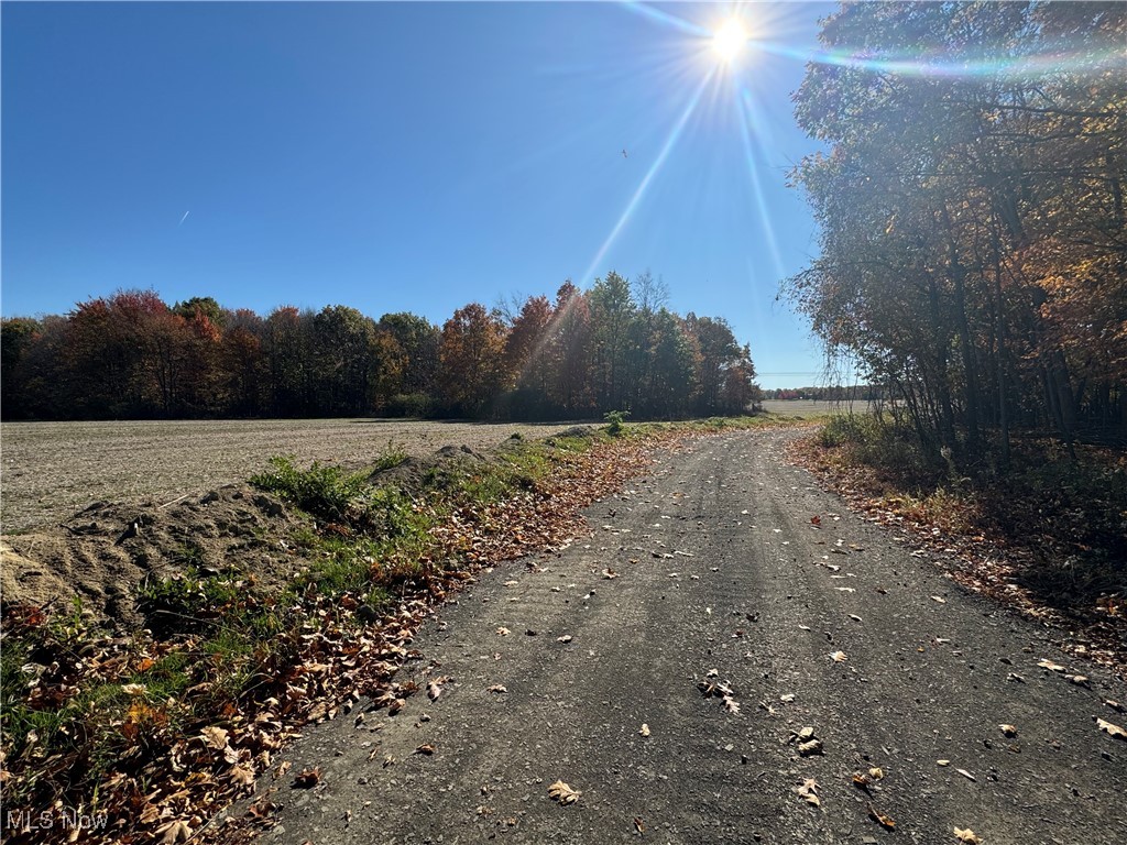 Spieth Road, Medina, Ohio image 1