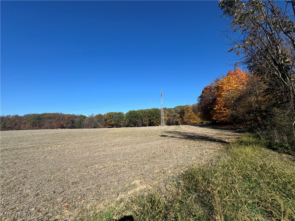 Spieth Road, Medina, Ohio image 3