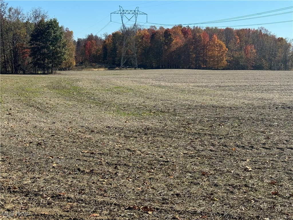 Spieth Road, Medina, Ohio image 6