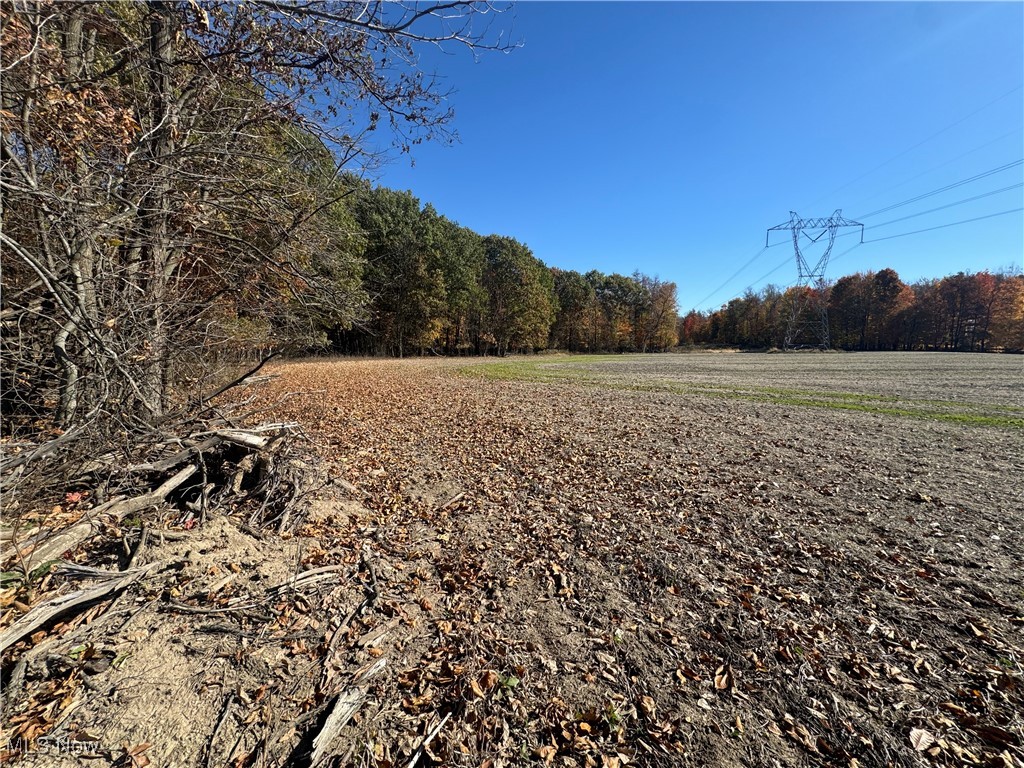 Spieth Road, Medina, Ohio image 4