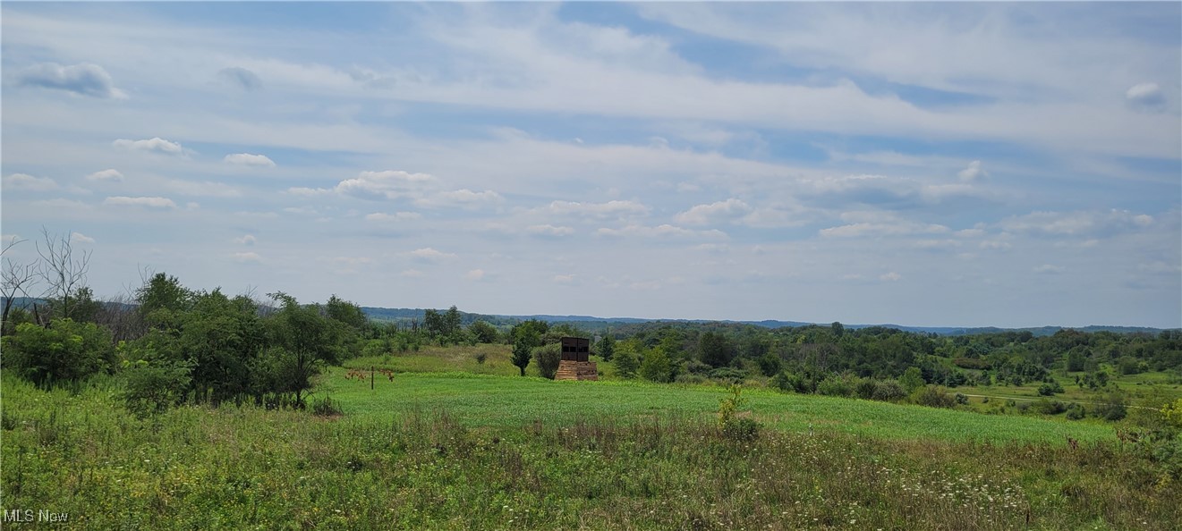 17294 Township Highway 118, Coshocton, Ohio image 36