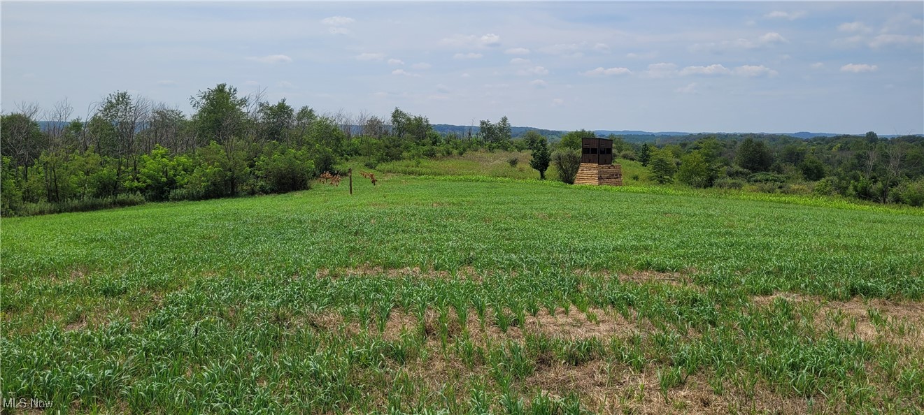 17294 Township Highway 118, Coshocton, Ohio image 1