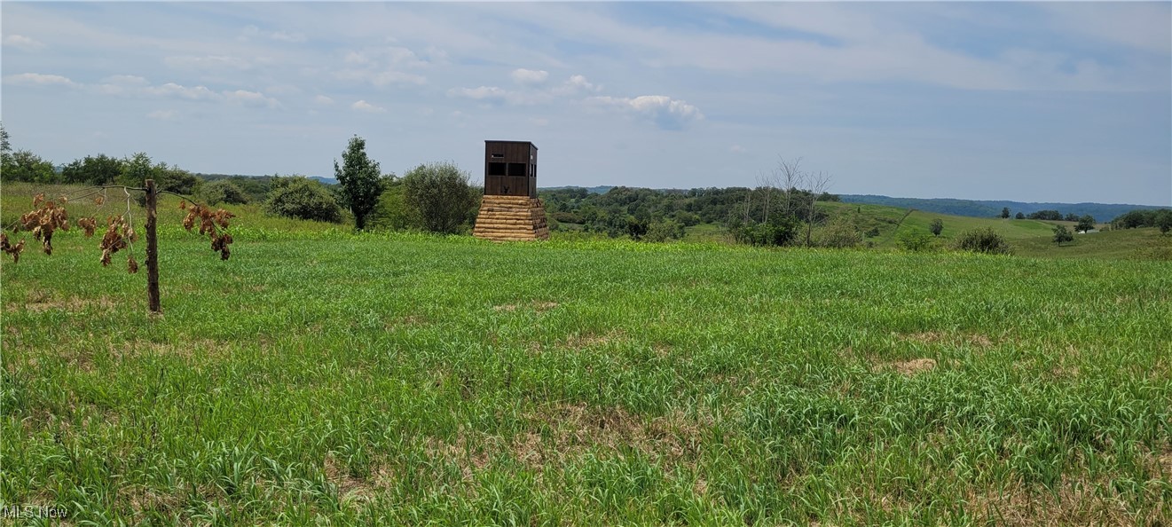 17294 Township Highway 118, Coshocton, Ohio image 10