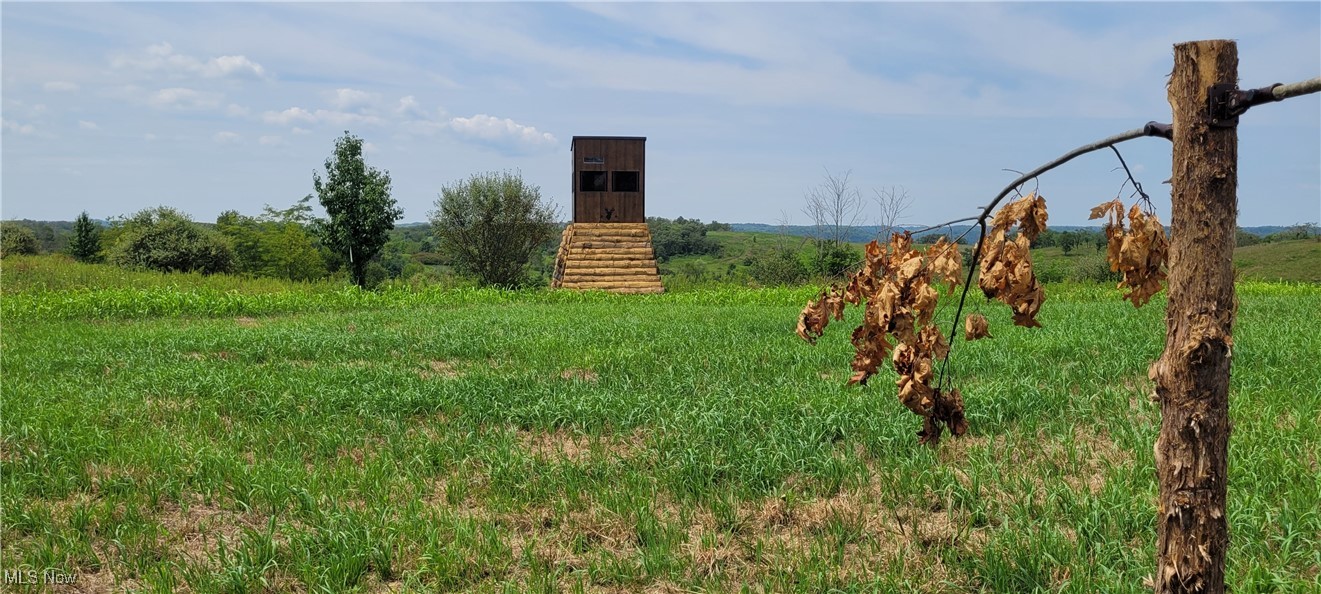 17294 Township Highway 118, Coshocton, Ohio image 3