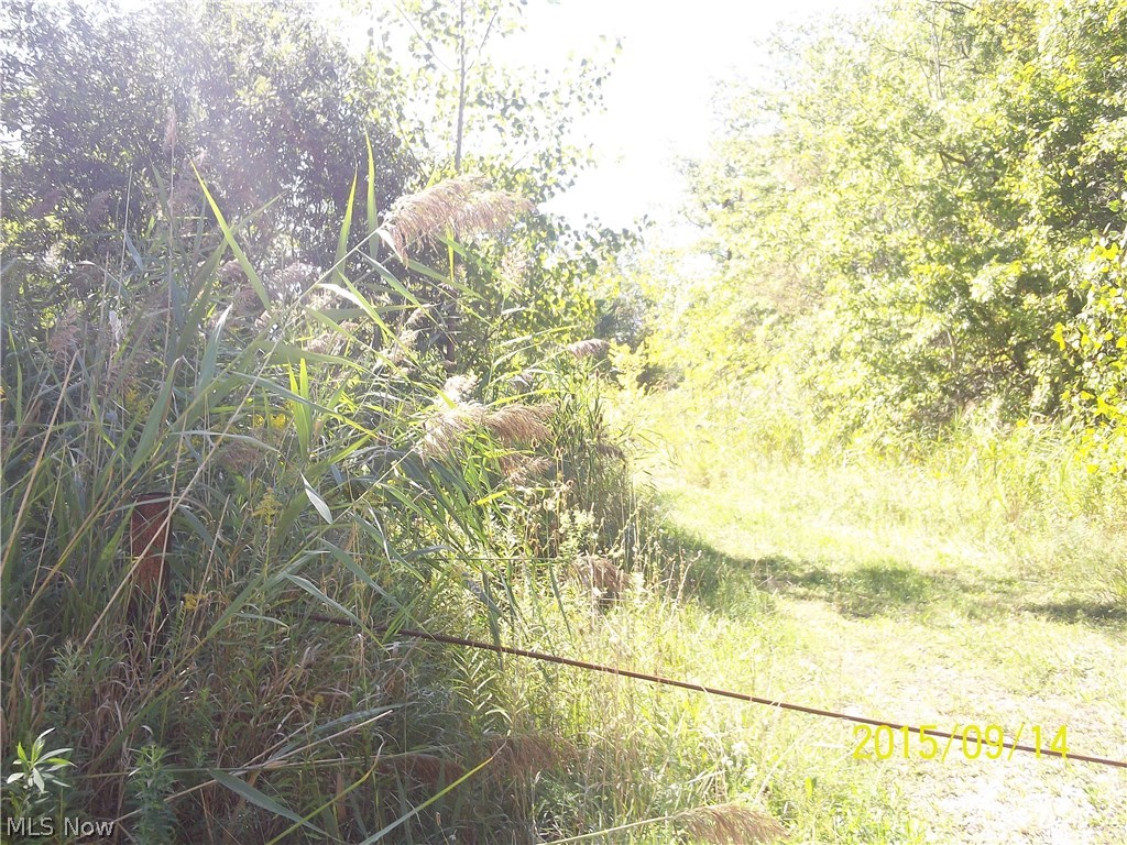 Madison Township 01 - Land