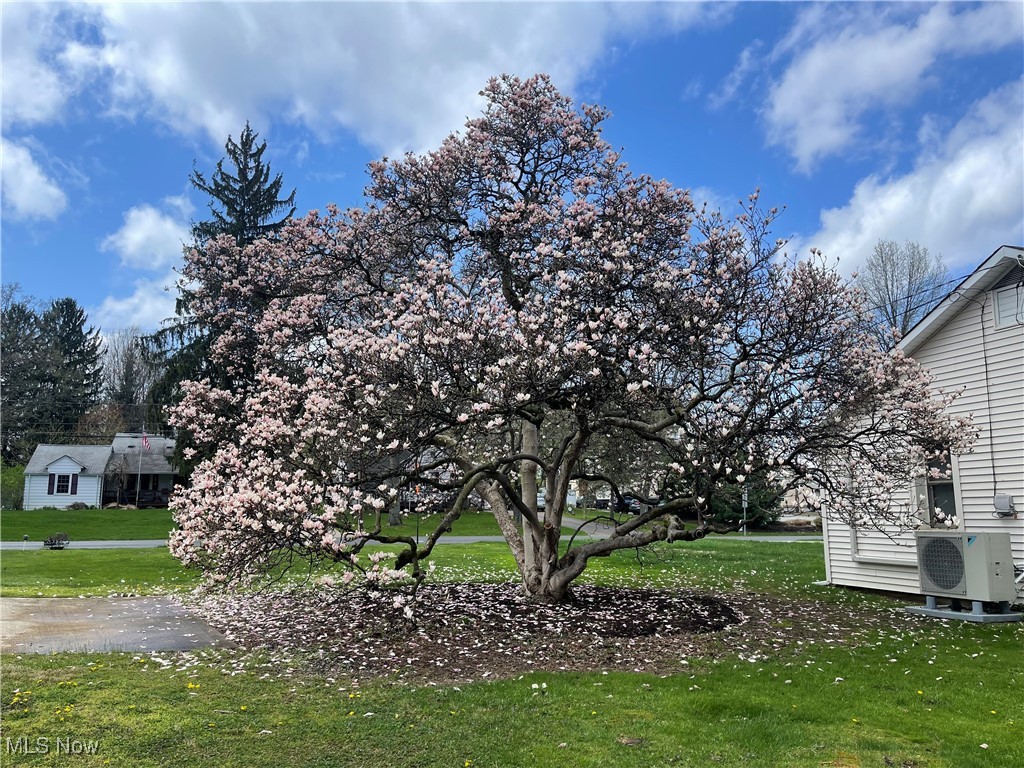 Northfield Orchard Gardens - Residential