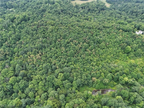 Tiny photo for 260 Ocelot Road NE, Salineville, OH 43945 (MLS # 5226505)