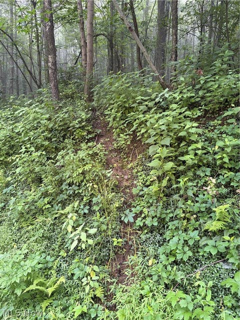 Tiny photo for 260 Ocelot Road NE, Salineville, OH 43945 (MLS # 5226505)