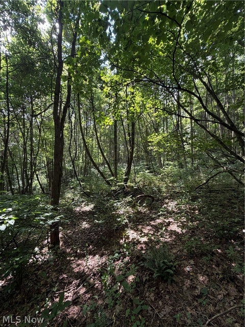 Tiny photo for 260 Ocelot Road NE, Salineville, OH 43945 (MLS # 5226505)