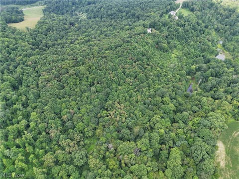 Tiny photo for 260 Ocelot Road NE, Salineville, OH 43945 (MLS # 5226505)
