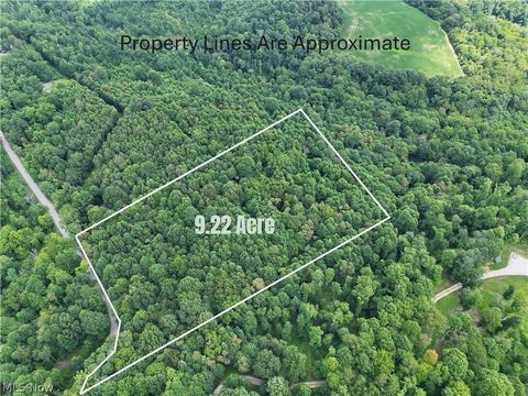 Photo of 260 Ocelot Road NE, Salineville, OH 43945 (MLS # 5226505)