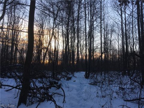 Tiny photo for 260 Ocelot Road NE, Salineville, OH 43945 (MLS # 5226505)