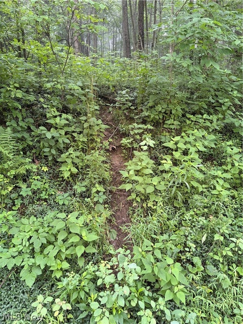 Tiny photo for 260 Ocelot Road NE, Salineville, OH 43945 (MLS # 5226505)