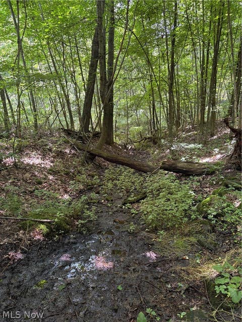 Tiny photo for 260 Ocelot Road NE, Salineville, OH 43945 (MLS # 5226505)
