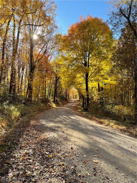 Tiny photo for 260 Ocelot Road NE, Salineville, OH 43945 (MLS # 5226505)