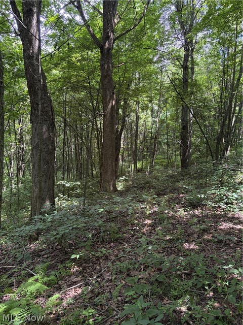 Tiny photo for 260 Ocelot Road NE, Salineville, OH 43945 (MLS # 5226505)