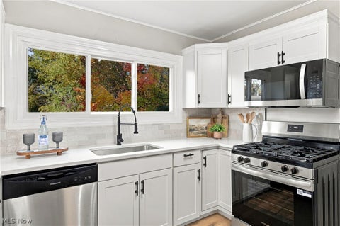Tiny photo for 120 Levan Drive, Painesville, OH 44077 (MLS # 5257195)