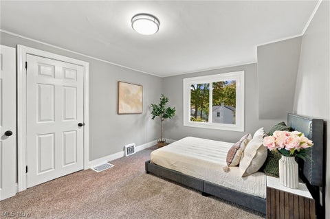 Tiny photo for 120 Levan Drive, Painesville, OH 44077 (MLS # 5257195)