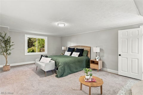Tiny photo for 120 Levan Drive, Painesville, OH 44077 (MLS # 5257195)