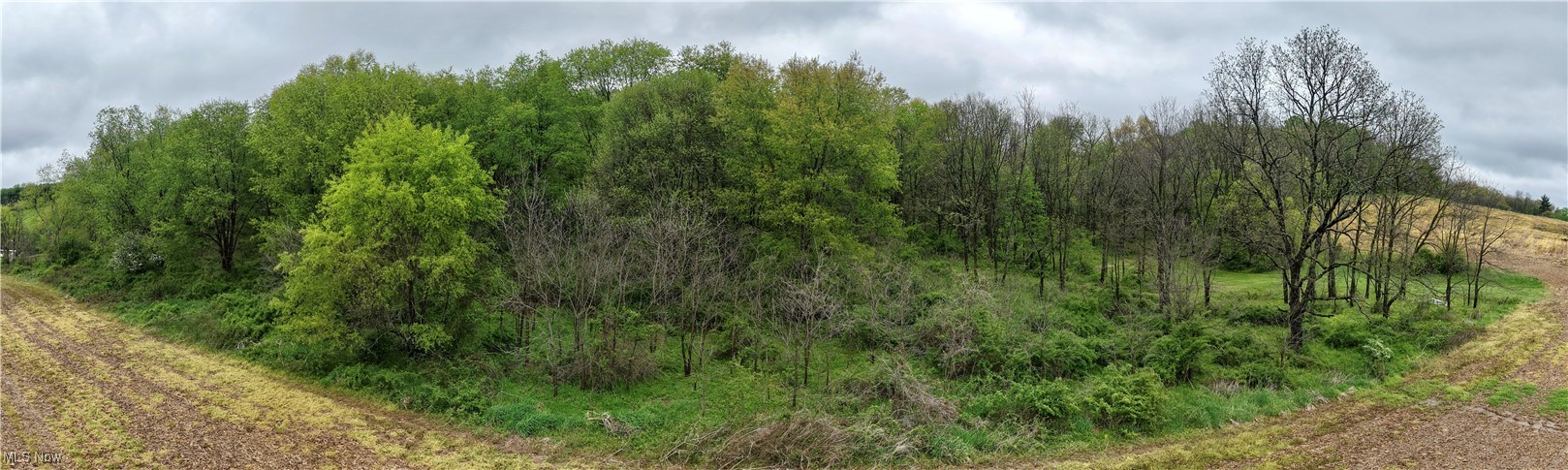 State Route 79, Warsaw, Ohio image 7