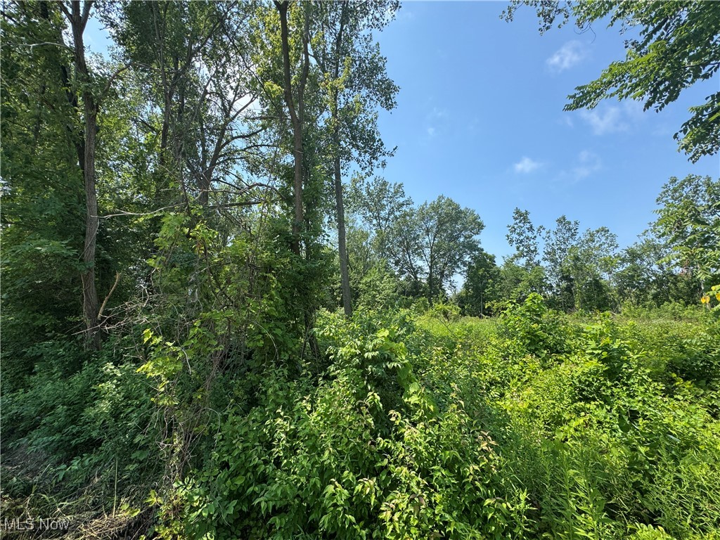 Looking for the perfect place to build, this is it! Located in Clearview school district on a quiet street this over half acre property is waiting for you! This lot is currently zoned multi-family. Buyer is responsible for all due diligence.