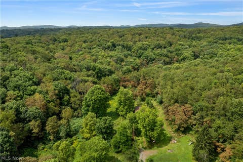 Vacant Land For Sale - Buzzard Road<br/> Wellsville, OH 43968