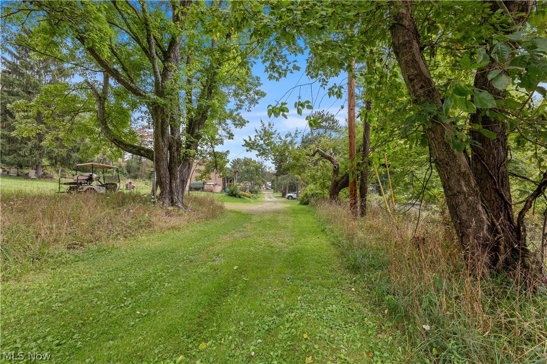 Buzzard Road
