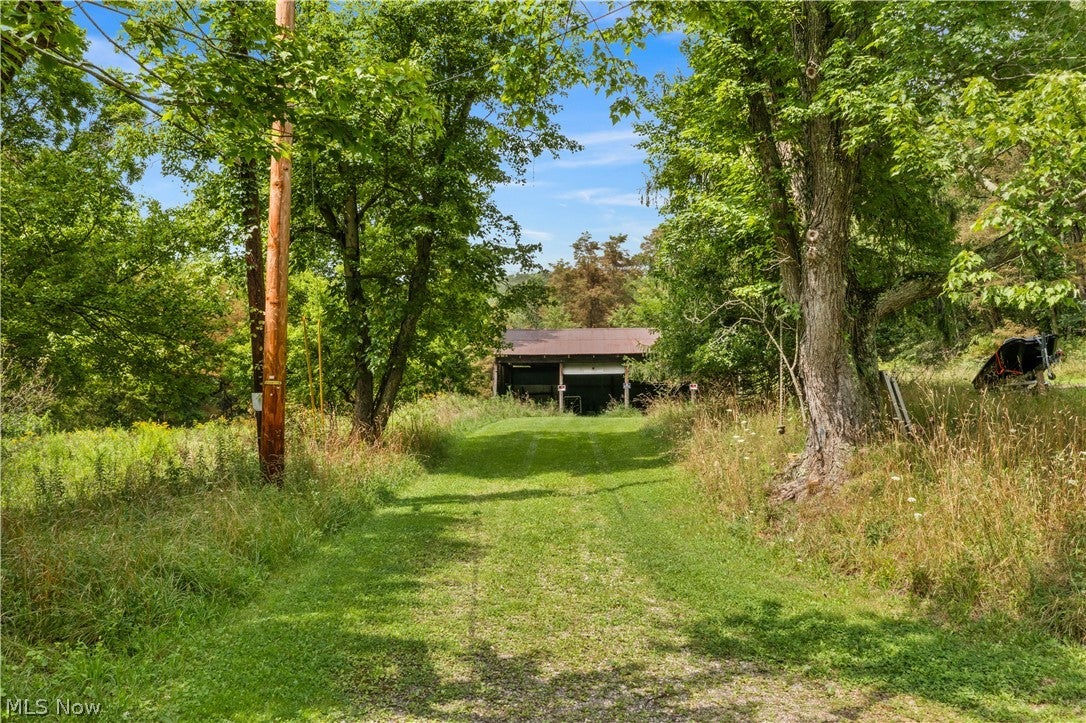 Buzzard Road