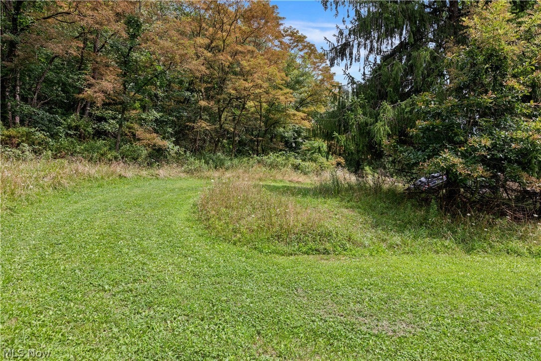 Buzzard Road