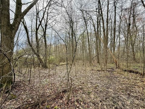 Tiny photo for 0 Mary Jane Drive, Girard, OH 44420 (MLS # 5200802)