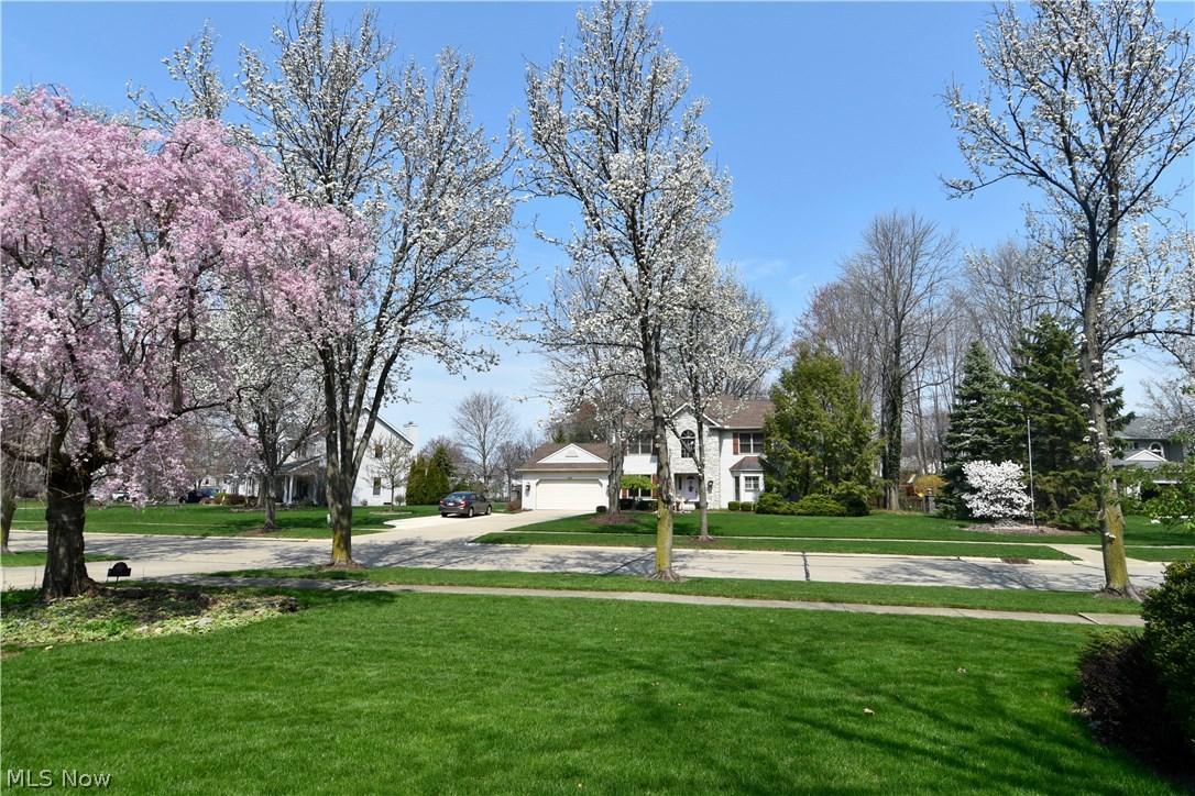 Gamellia Sub - Residential