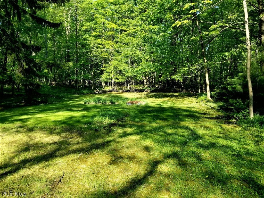 Bainbridge 01 - Residential