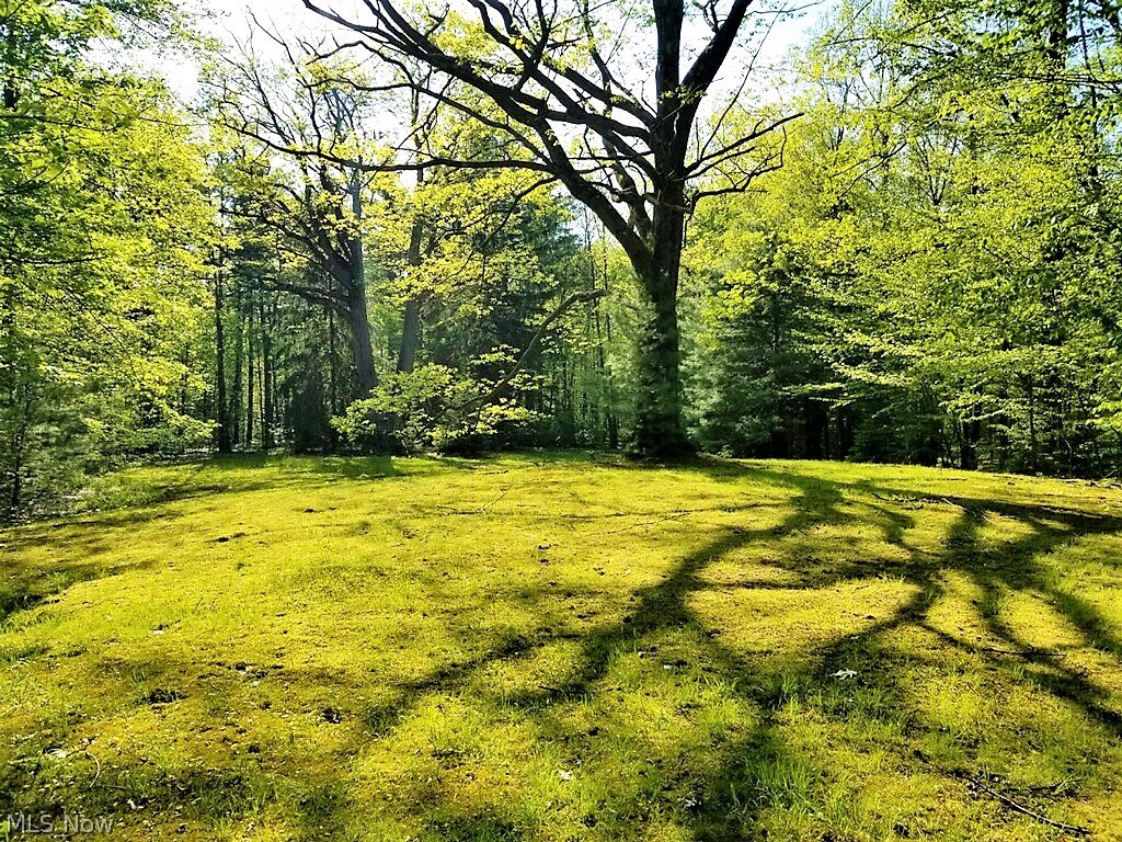 Bainbridge 01 - Residential